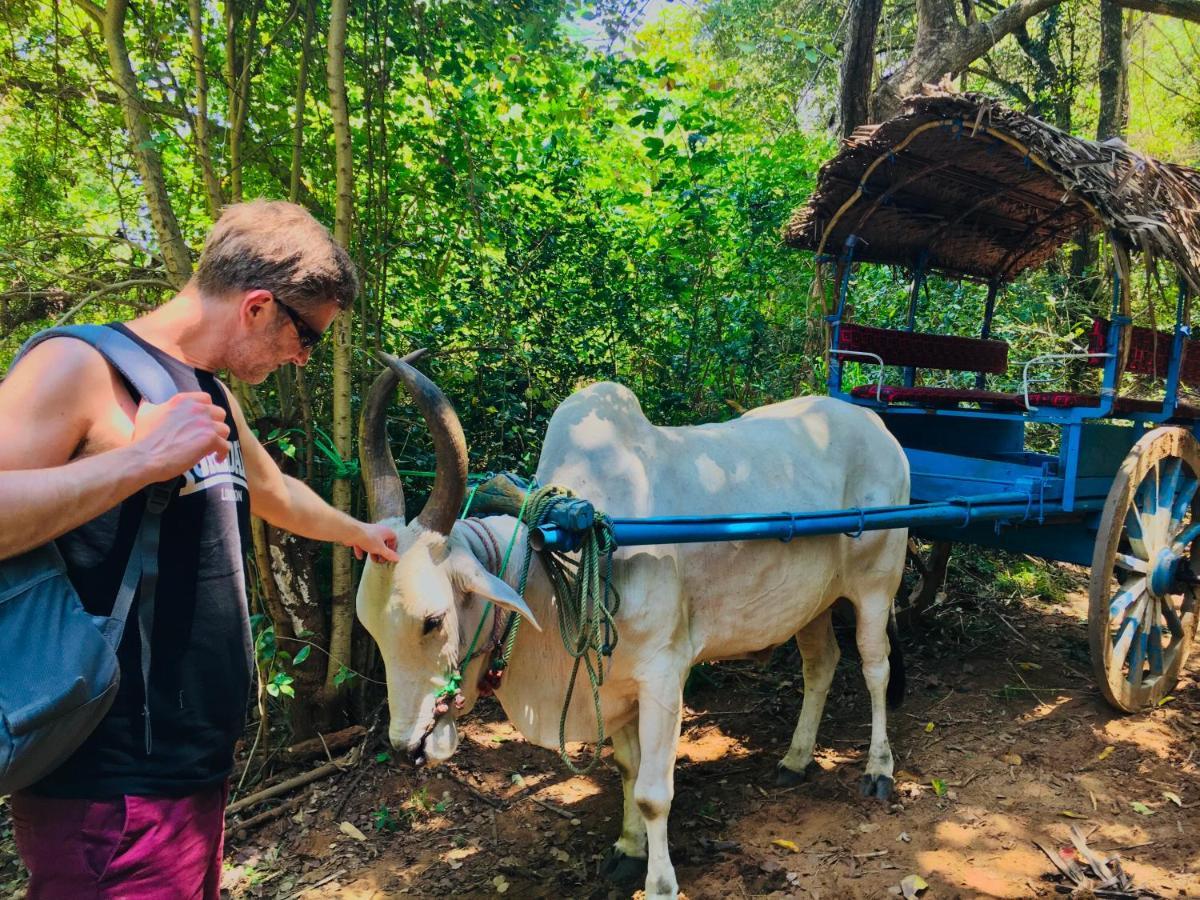 Gangadiya Lodge Sigiriya Dış mekan fotoğraf