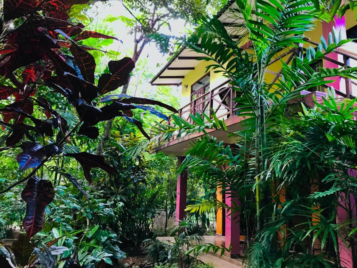 Gangadiya Lodge Sigiriya Dış mekan fotoğraf