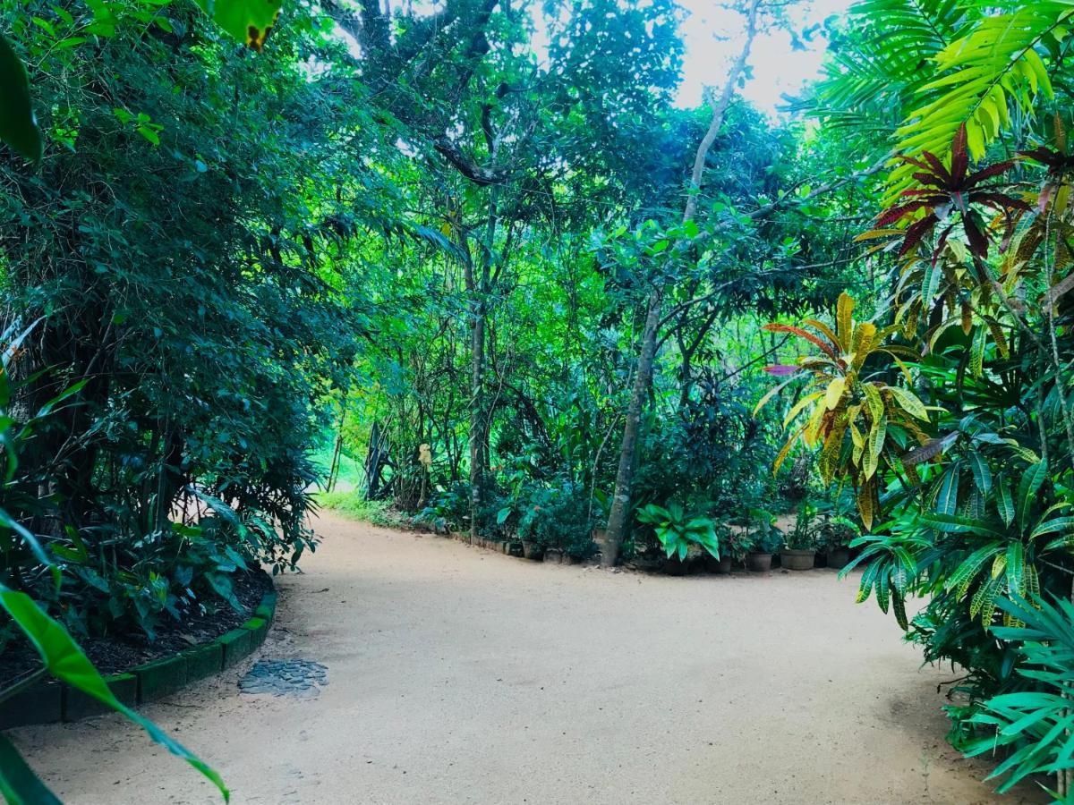 Gangadiya Lodge Sigiriya Dış mekan fotoğraf